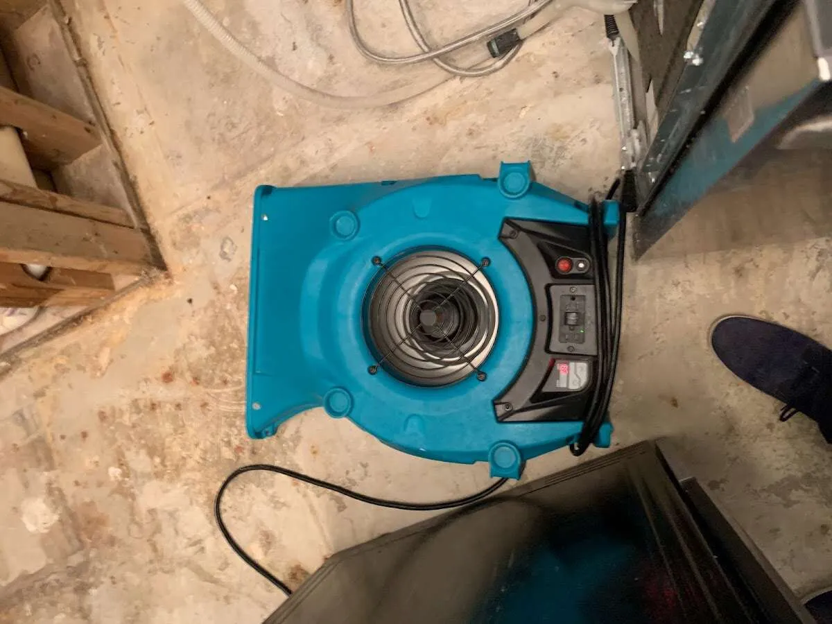 Air mover drying equipment for Mold Remediation & Removal in Morehead