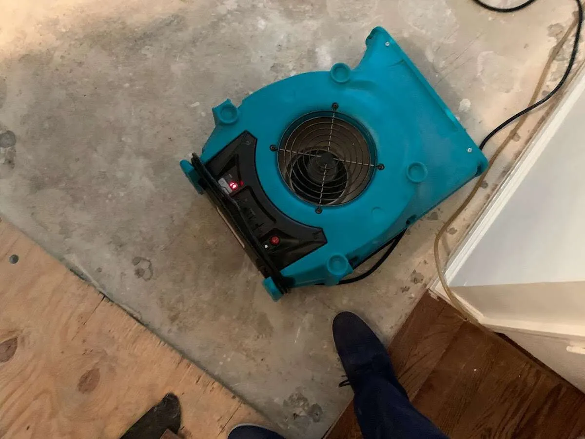 Air mover drying subfloor during Commercial Water Damage Restoration in Morehead
